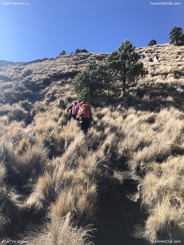 �������. ����� ��� 2019-2020. ���������� ������� ������, ���� 95