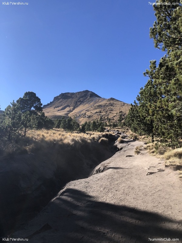 �������. ����� ��� 2019-2020. ���������� ������� ������, ���� 97