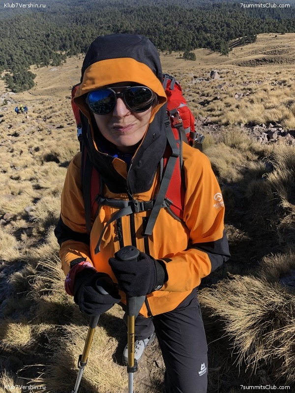 �������. ����� ��� 2019-2020. ���������� ������� ������, ���� 100