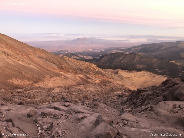 .   2019-2020.   ,  36