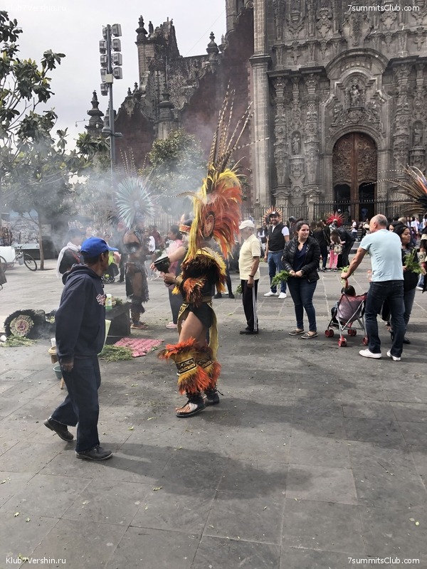 �������. ����� ��� 2019-2020. ���������� ������� ������, ���� 117