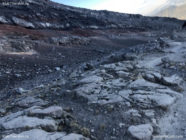 .   2019-2020.   ,  67