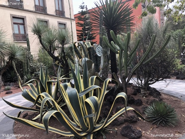 �������. ����� ��� 2019-2020. ���������� ������� ������, ���� 76