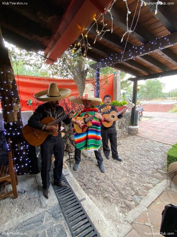 �������, �������. 2020. ������. ������� �������, ���� 29