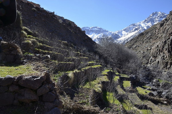 ��������, �������������� ��������, ���� 674