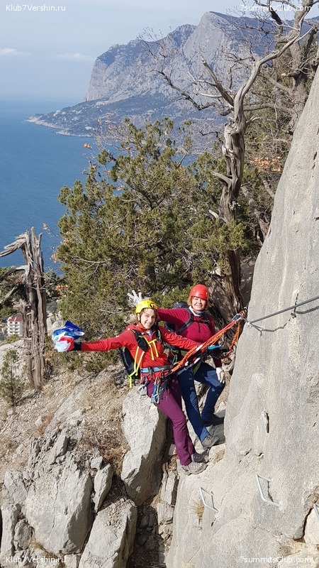 ���� 2020 ����� 1, ���� 65