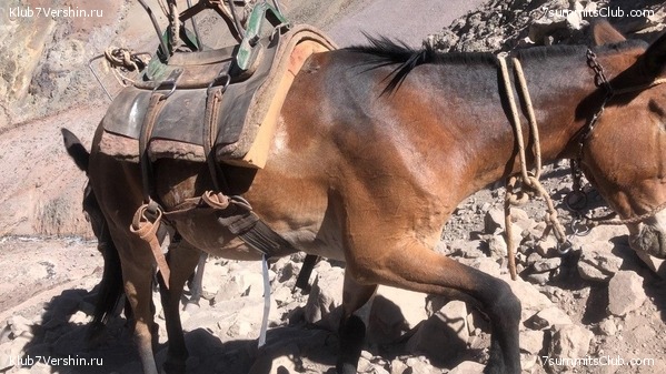 ������� ������ �� ���������. ������� 2020, ���� 19