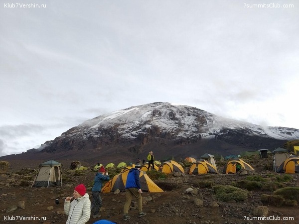 ������������ 2020. ������ - ����, ���� 88