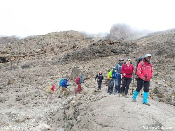 ������������ 2020. ������ - ����, ���� 90