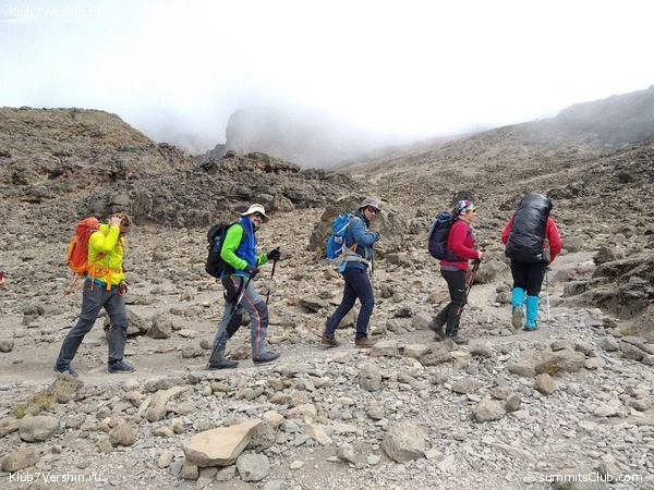 ������������ 2020. ������ - ����, ���� 91