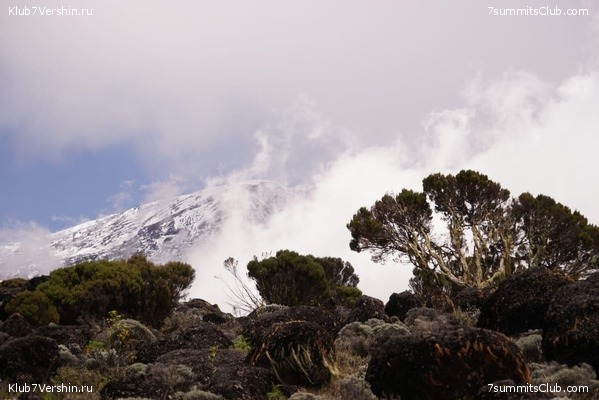 ������������ 2020. ������ - ����, ���� 6