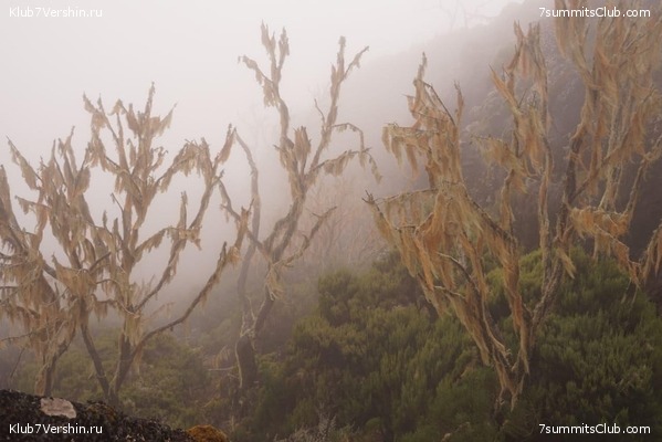 ������������ 2020. ������ - ����, ���� 9