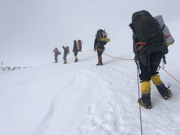 ��������� ����������. ������ 2016, ���� 117