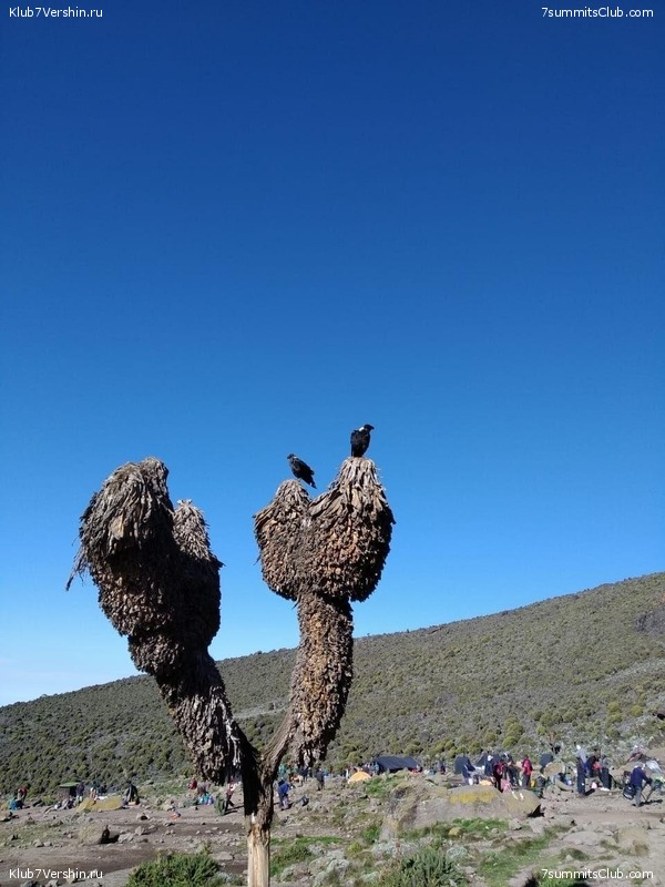 ������������ 2020. ������ - ����, ���� 144