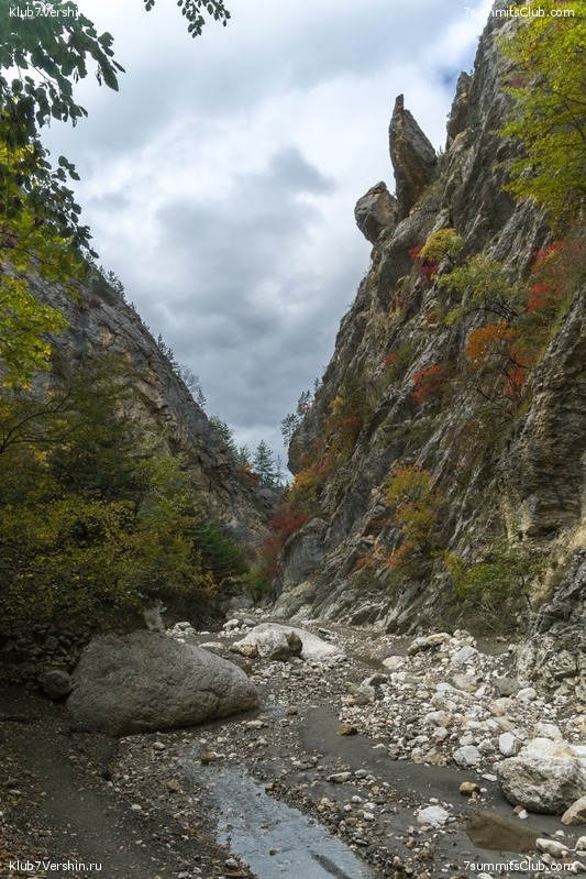 �������� ���������, ���� 35