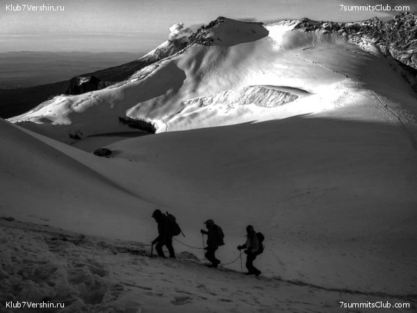  .      Fernando Tijerina,  3