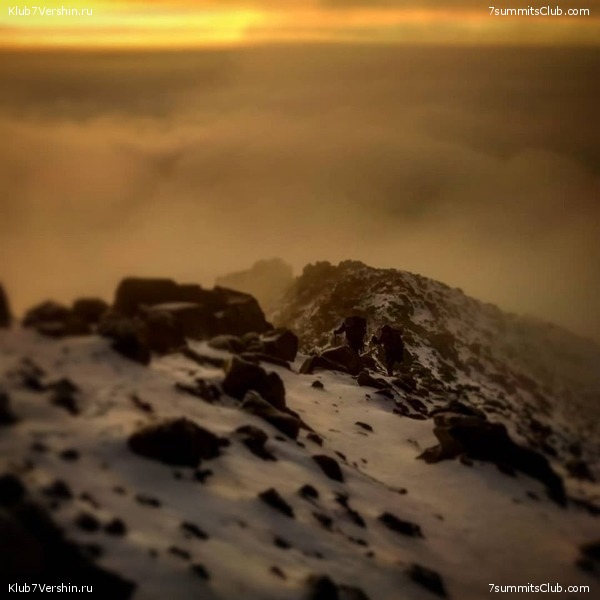  .      Fernando Tijerina,  17