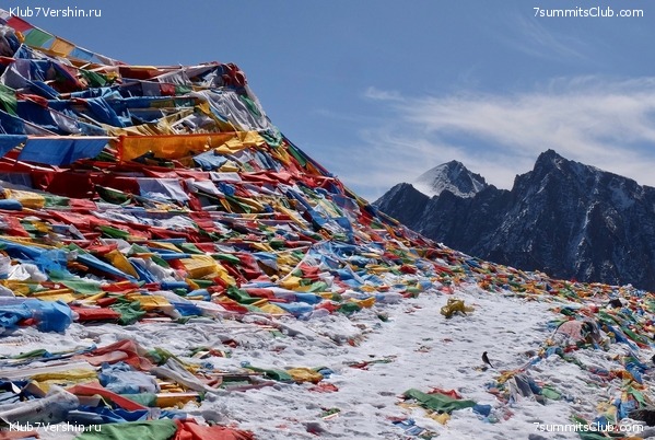 �����,������_��� ��������� 2019, ���� 2