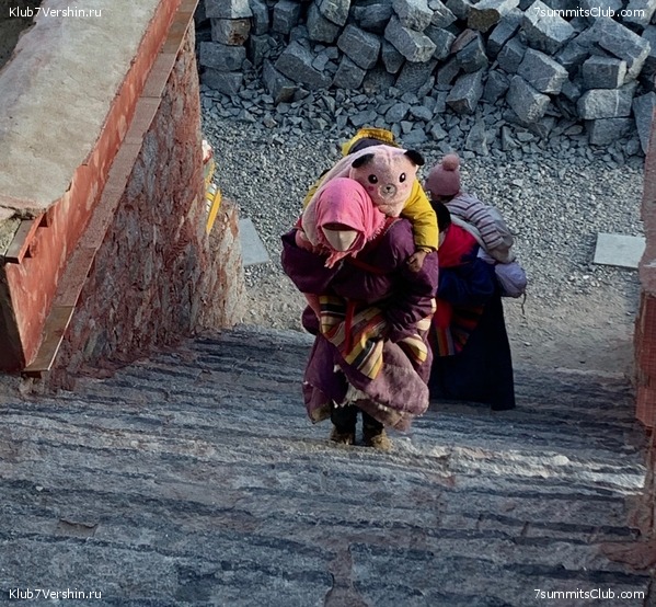 �����,������_��� ��������� 2019, ���� 20