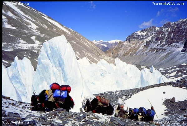 ������� 2003, ���� 12