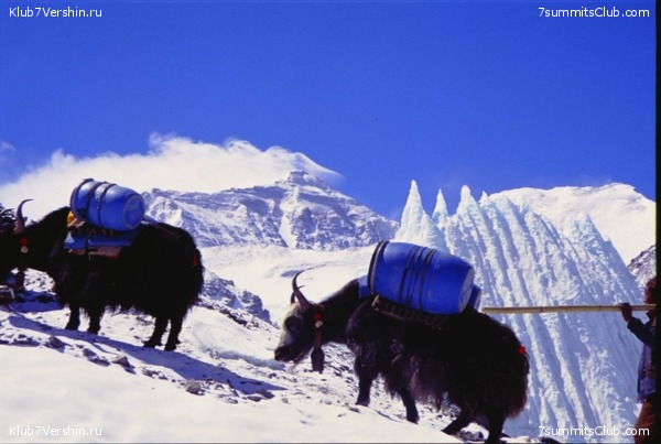 ������� 2003, ���� 11