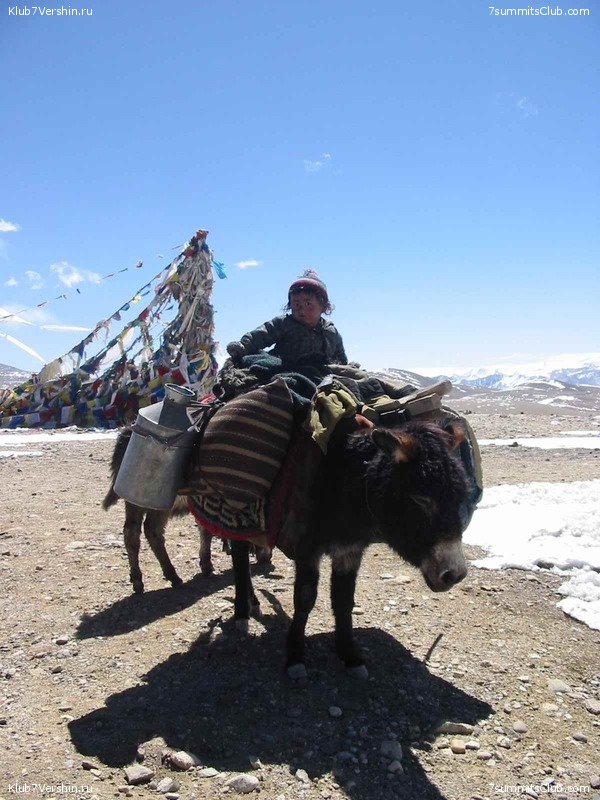 ������� 2003, ���� 198