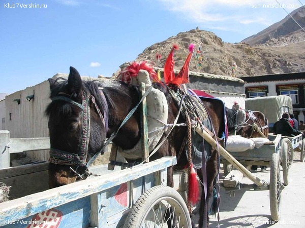 ������� 2003, ���� 145