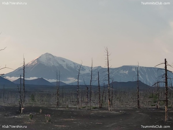 �������� ��������, ���� 21