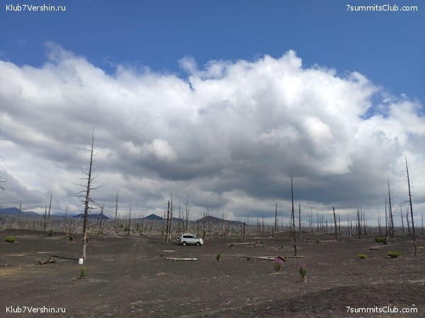 �������� ��������, ���� 23