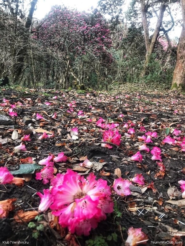 ����� 2020. ����������� �����, ���� 13