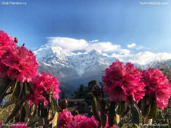 ����� 2020. ����������� �����, ���� 1