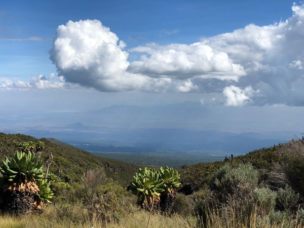 ������������. � �������, ���� 8