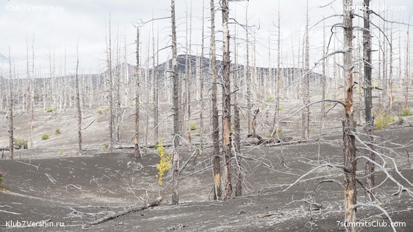 �������� ��������, ���� 12