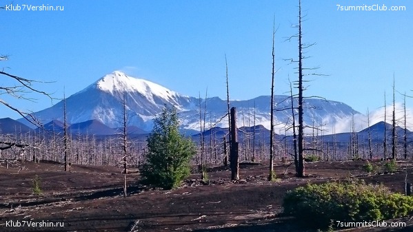 �������� ��������, ���� 15