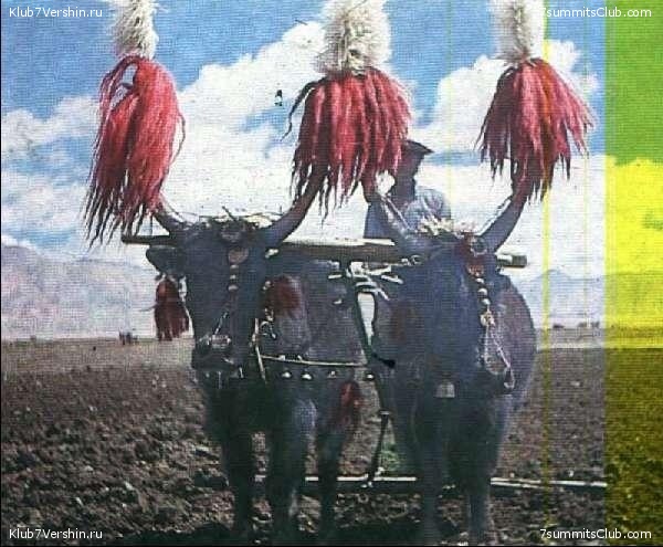 ����������� ���� �� �������. 1990 ���, ���� 48