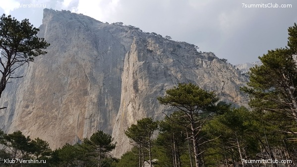 �������� ����� ����� 7 ������ � �����, ���� 20