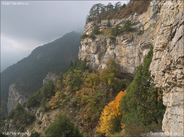 �������� ����� ����� 7 ������ � �����, ���� 37