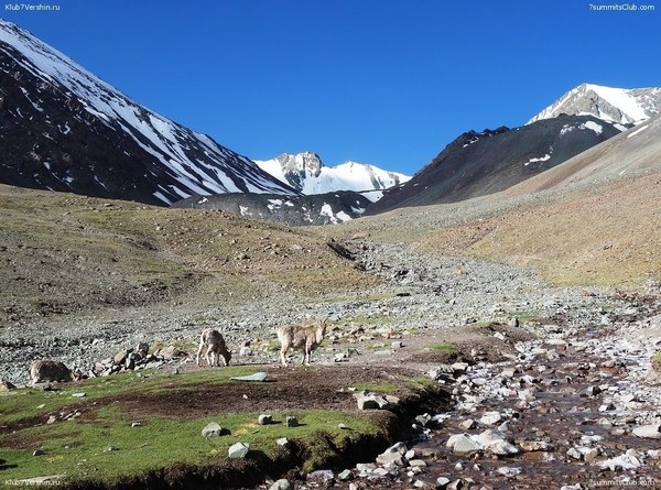 ������ 2020, ���� 21