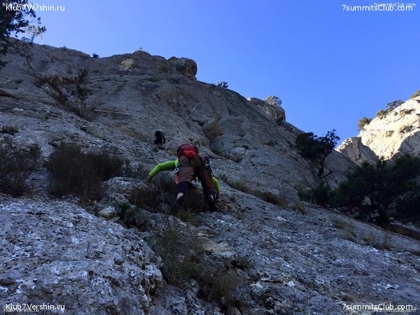 �������� ����� ����� 7 ������ � �����, ���� 42