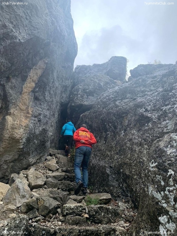 ���� 2020 ����� 1, ���� 50