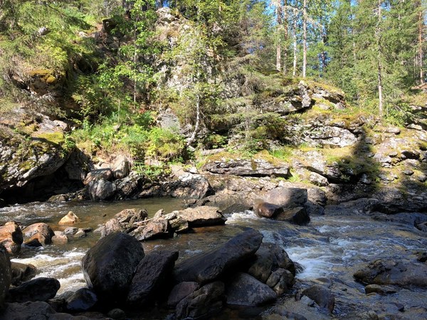 �������, ���� 17