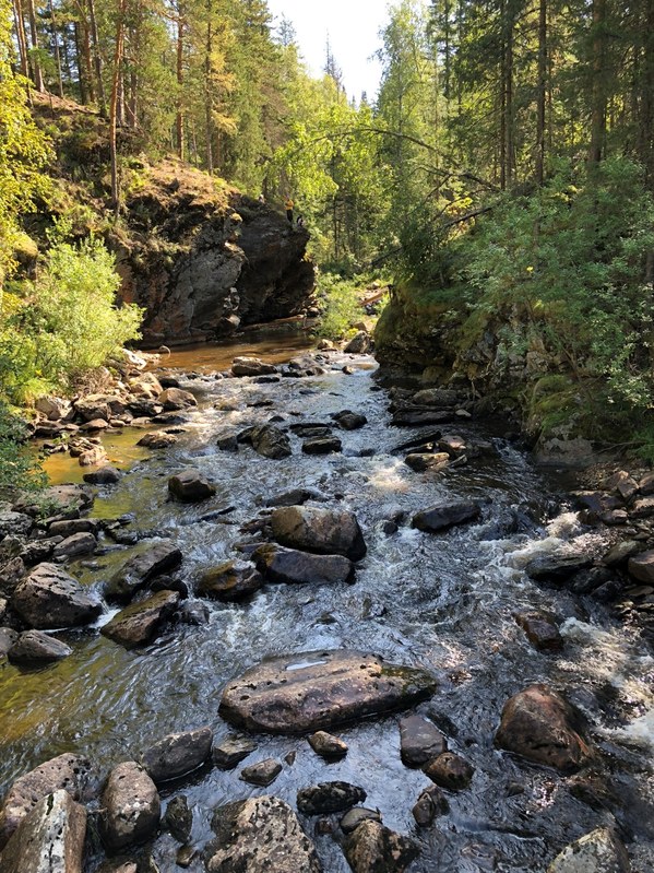 �������, ���� 23