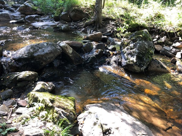 �������, ���� 19