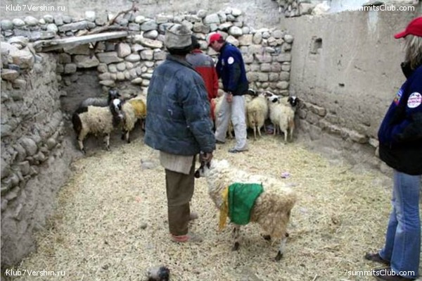 ������� 2006, ���� 26