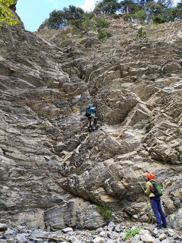 �������� ����� ����� 7 ������ � �����, ���� 81