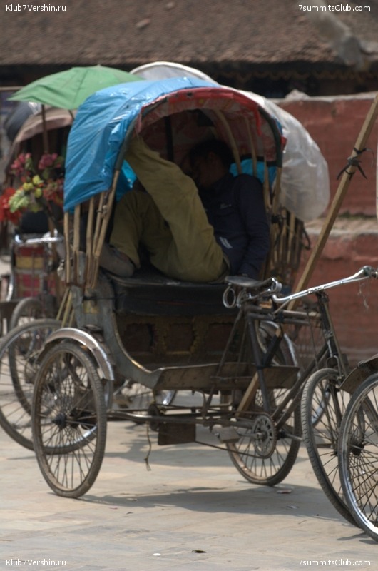 ������� 2009, ���� 490