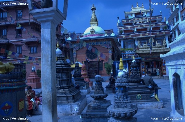 ������� 2009, ���� 8