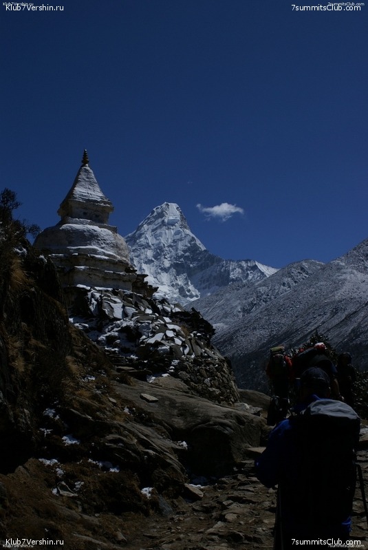 ������� 2009, ���� 478