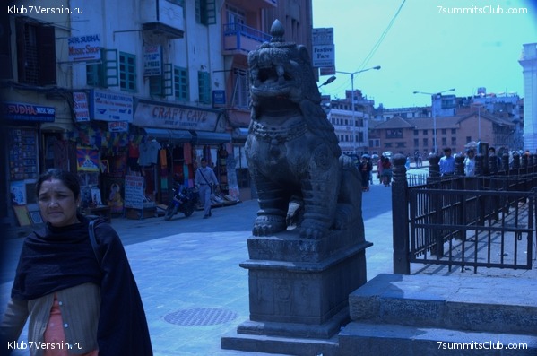 ������� 2009, ���� 15