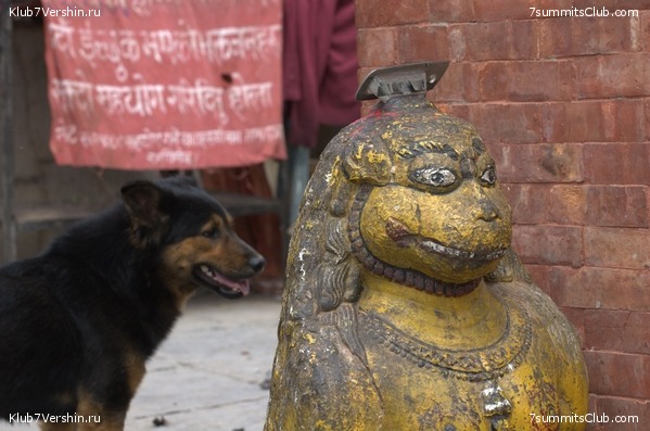 ������� 2009, ���� 17